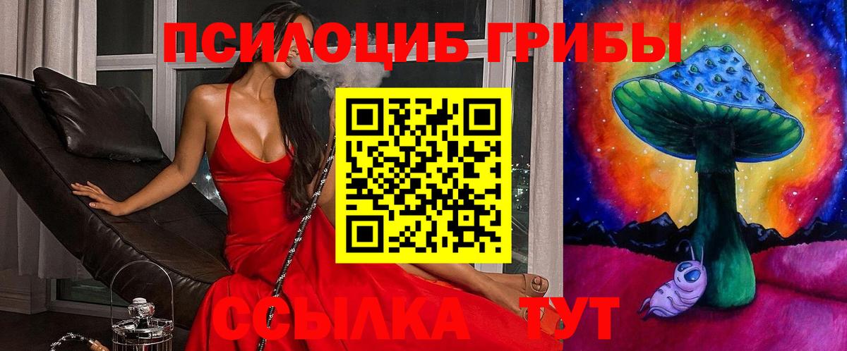 купить  цена  Галлюциногенные грибы Psilocybine cubensis  Псилоцибиновые грибы Psilocybe  Вход с VPN  Магнитогорск 