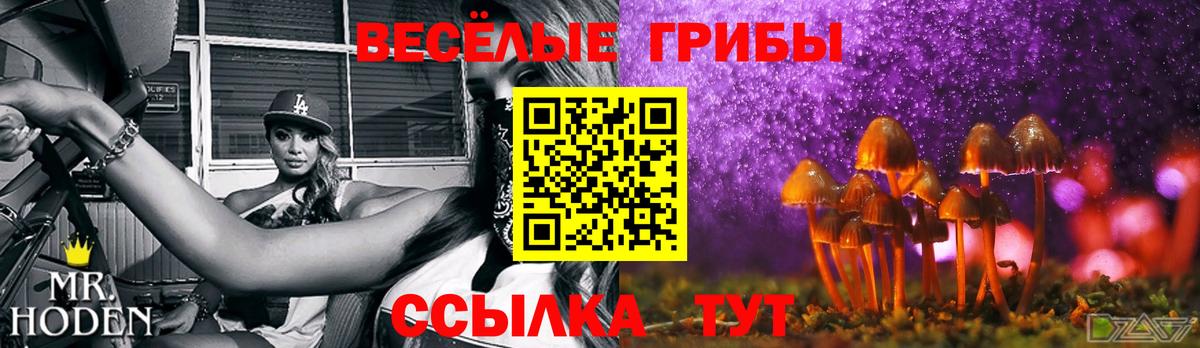 Псилоцибиновые грибы мицелий Магнитогорск